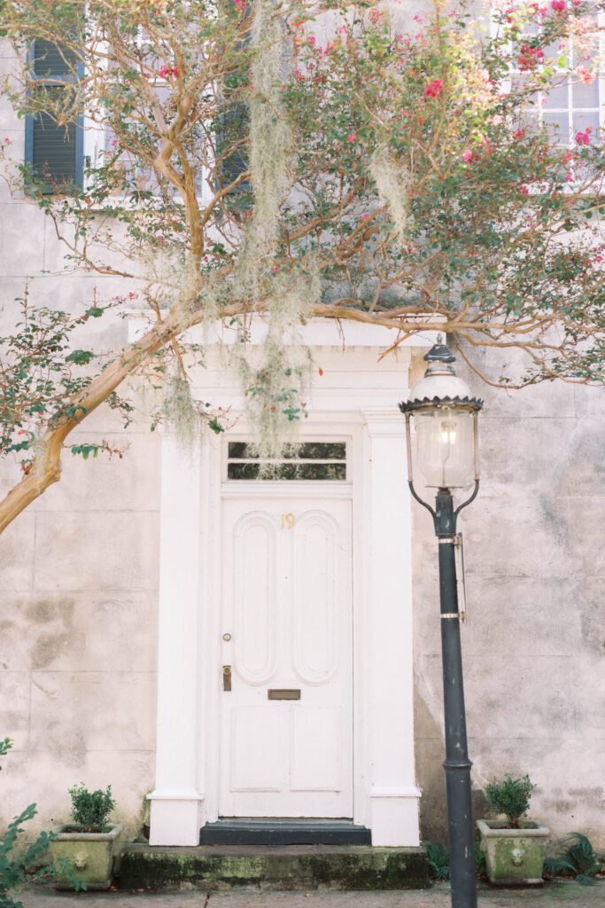 A crepe myrtle tree with spanish moss framing a white front door in Charleston
